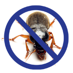 Arrow Termite and Pest Control | Evansville, Henderson, Mt. Vernon
